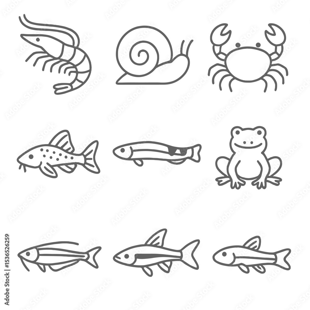 Obraz premium Series of fish and other sea creatures are drawn in black and white