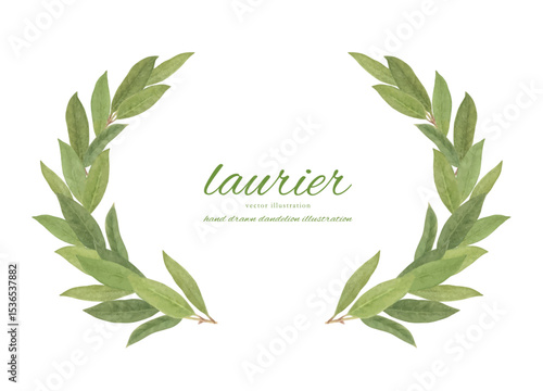 水彩で描いたローリエの葉のカットイラスト