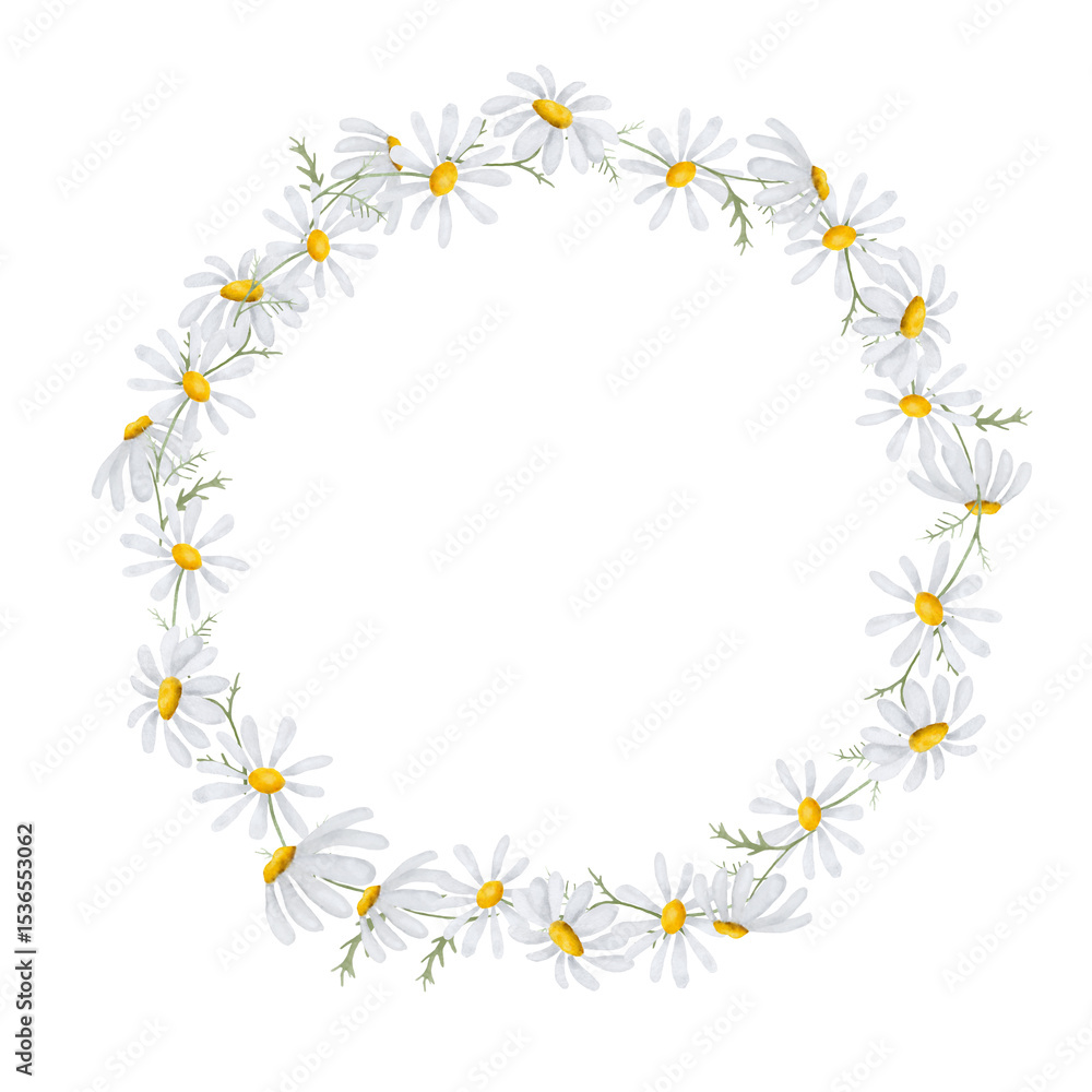 Obraz premium Delicate daisies with white petals, round frame, cute wreath. Watercolor illustration. Meadow and wildflowers are isolated on white background. Theme of spring, summer, children's textiles and Easter.