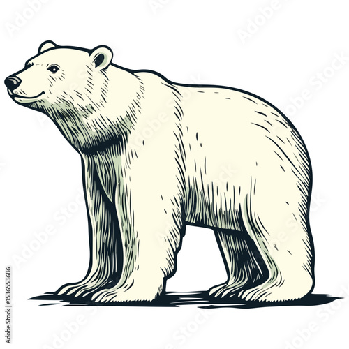 polar bear, animal, vector, transparent background, creature, ursus maritimus, isolated, icon, bear, zoo, mammal, cute, nature, white, wildlife, big, polar, arctic