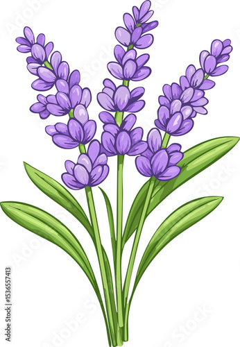 Colorful Cartoon Lavender Flower Illustration – Botanical Herbal Plant Drawing