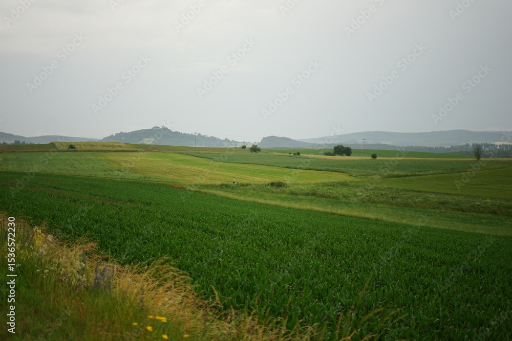 Fototapeta premium Rolling green fields and yellow crops on a cloudy day