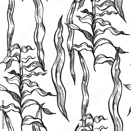 hand drawn vector seamless pattern with underwater algae, branches of plant at bottom of sea, ocean, monochrome illustration of aquarium decor, black white sketch of reef grass, marine line art