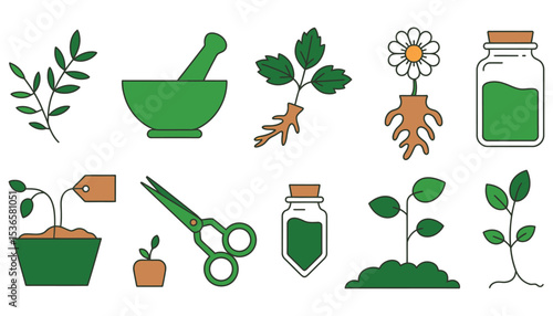 Gardening tools and plant icons vector illustration set for nature design