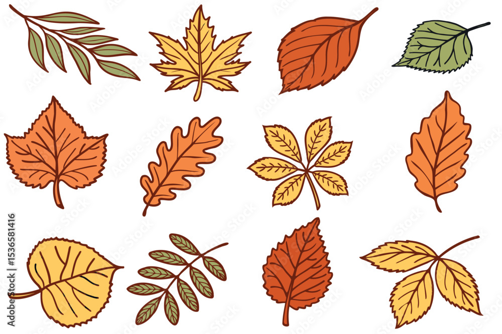 Obraz premium A collection of various autumn leaves in shades of orange, yellow, and green. The leaves are illustrated with distinct shapes and textures.