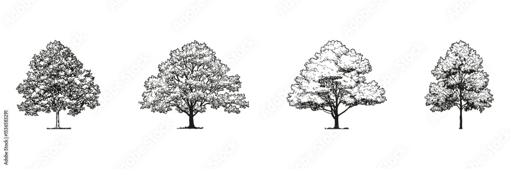 Fototapeta premium Tree Sketch Side View Set. Architectural Landscaping And Environmental Design Collection. Isolated Vector Illustration