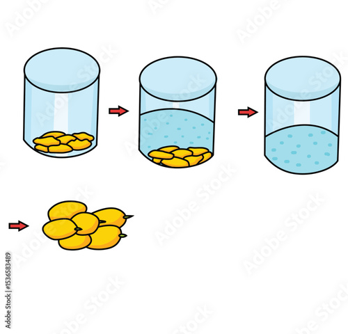  Science of hand drawn vector Endosmosis experiment clipart