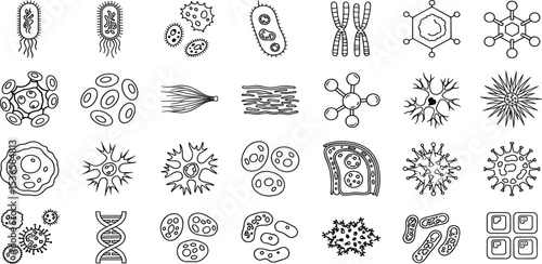 Biology and Science Vector Icon Set – Bacteria, Virus, DNA, Molecule, Cells, Neurons, Blood Cells, Stem Cells, Chromosomes, Leukocyte, Erythrocyte, Thrombocyte, Medical, Laboratory