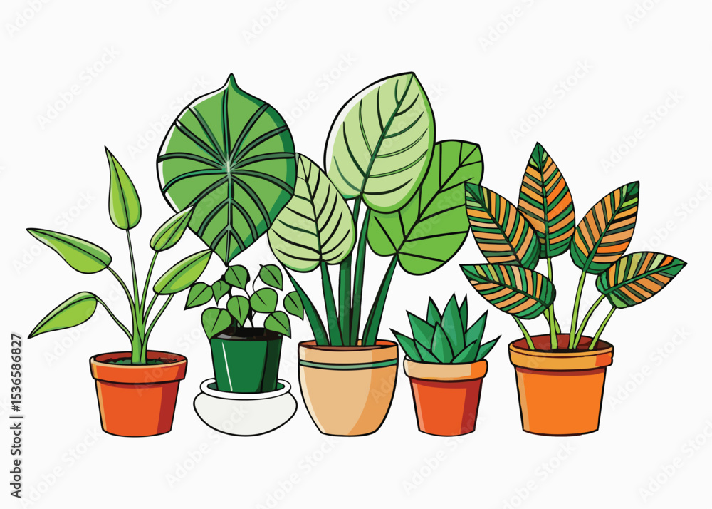 Fototapeta premium A small, isolated potted houseplant with green foliage and a delicate flower, symbolizing growth and life