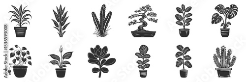 Potted Houseplants Silhouette Set. Indoor Plant Collection For Home Decor And Gardening Enthusiasts Isolated Vector Illustration Collection