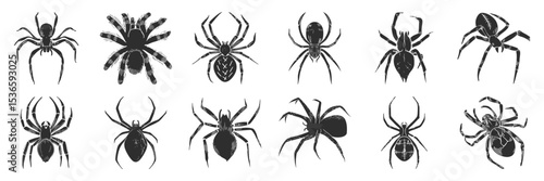Spider Silhouettes Collection. Diverse Arachnid Designs For Nature And Wildlife Themes. Isolated Vector Illustration Set