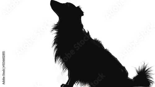 silhouette of fluffy dog on a white background