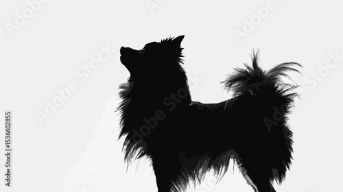 silhouette of fluffy dog on a white background