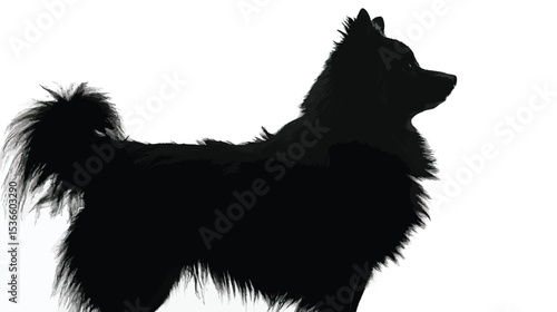 silhouette of fluffy dog on a white background