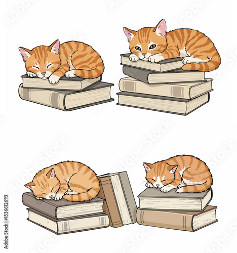 Cute Orange Tabby Cats Sleeping on Stacks of Books

