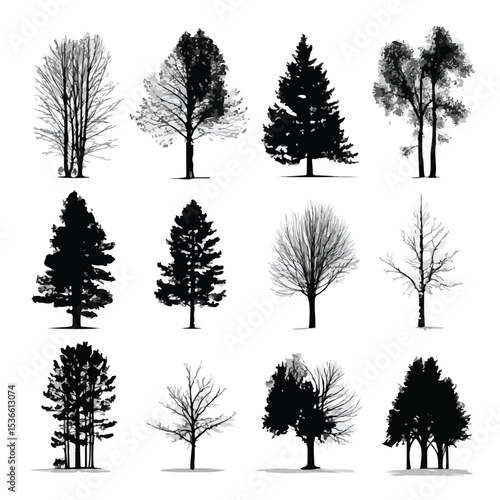 aspen tree silhouette set, Black & White silhouette set