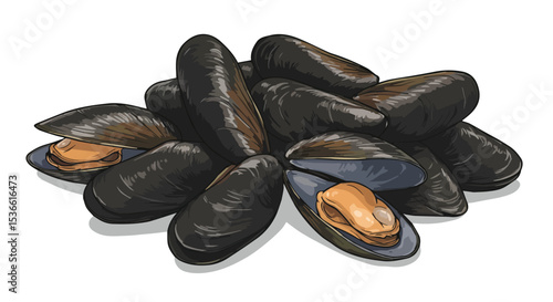 Fresh Mussels Pile with Some Open Shells

