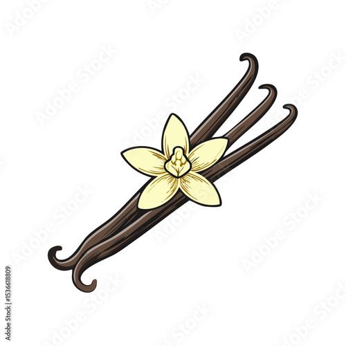 Vanilla beans with flower arrangement against dark backdrop aromatic flavoring flavoring agent used in baking and cuisine