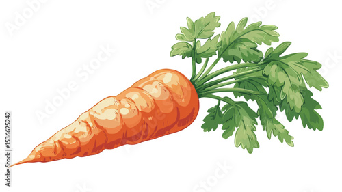 Digital illustration of a single, whole carrot with its green leafy top. The carrot is depicted in a slightly stylized manner, with visible segments and an orange hue. The greens are bright green