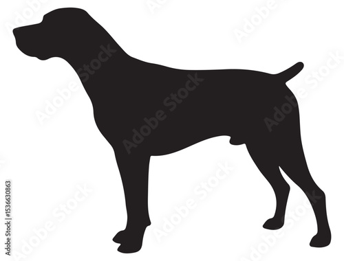 POINTER DOG SILHOUETTE