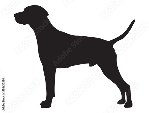 POINTER DOG SILHOUETTE