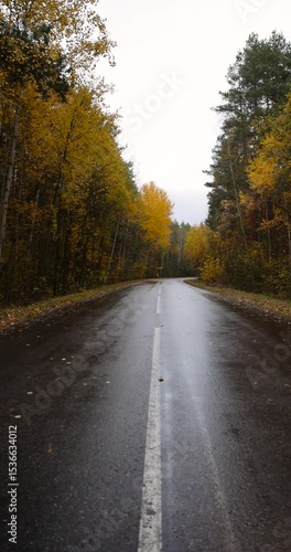 Wallpaper Mural a paved road in autumn is wet after rain, a rural road in the forest in cloudy weather after rain Torontodigital.ca