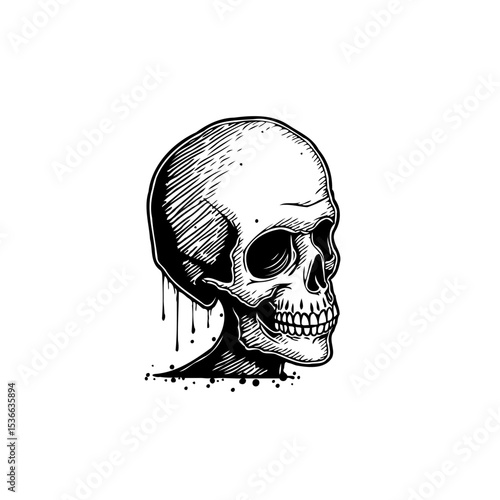 Striking black and white illustration of a human skull with dripping details