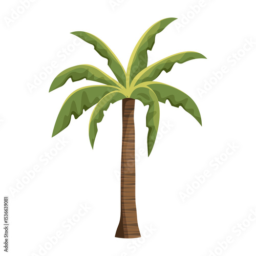 Vector palm plant or isolated beach shore tree. Symbol for exotic and tropical flora or summer nature. Landscape element for island vacation and holiday, relaxation. Sea foliage. Botany and biology.