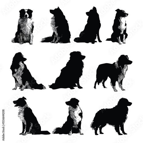 australian shepherd silhouette set, Black & White silhouette set