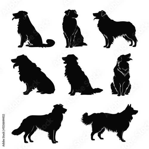 australian shepherd silhouette set, Black & White silhouette set