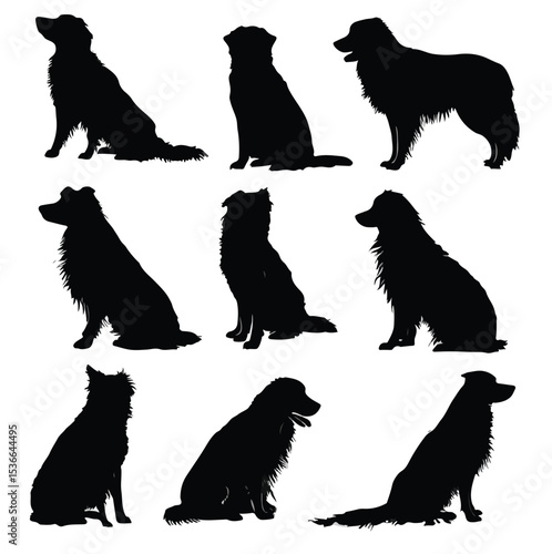 australian shepherd silhouette set, Black & White silhouette set