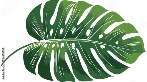 An illustration of a single Monstera deliciosa leaf. The leaf is depicted in shades of green, with characteristic fenestrations (holes) visible throughout. 
