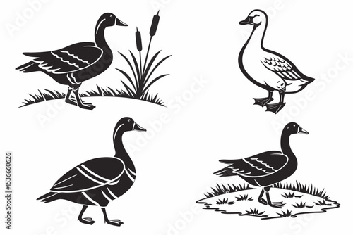 set of geese