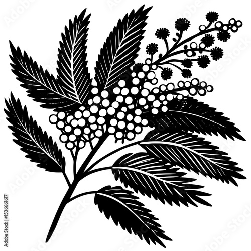black and white leaves