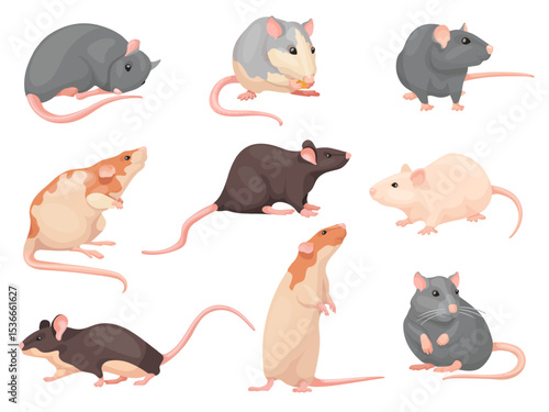 Cartoon mouse poses. Cute mise set, laboratory rat wild brown mouses eating cheese, little rodent domestic pet character house pest creature sitting pose, neat vector illustration