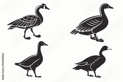 set of geese