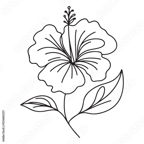 Simple Hibiscus Flower Line Drawing Vector Illustration Floral Design