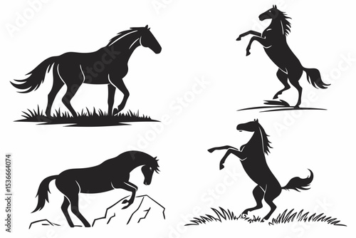 horse and foal