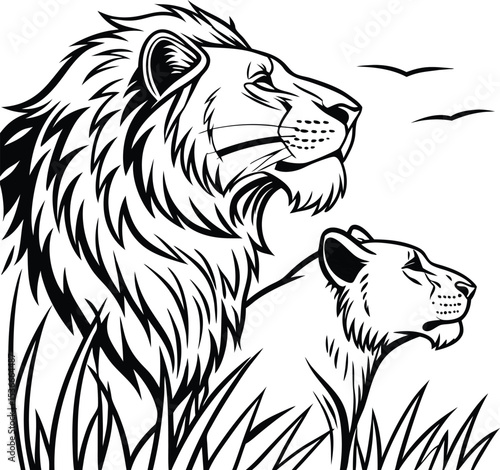 Lion and Lioness Gazing Skyward
