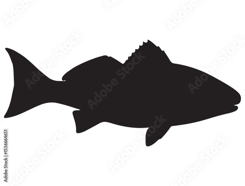 RED DRUM FISH SILHOUETTE