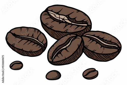 coffee beans isolated on white