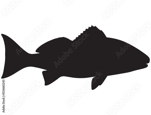 RED DRUM FISH SILHOUETTE