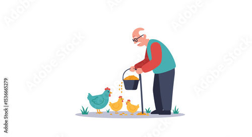 Elderly man feeding chickens with a bucket in a farmyard setting  
