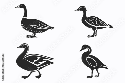 set of canada geese