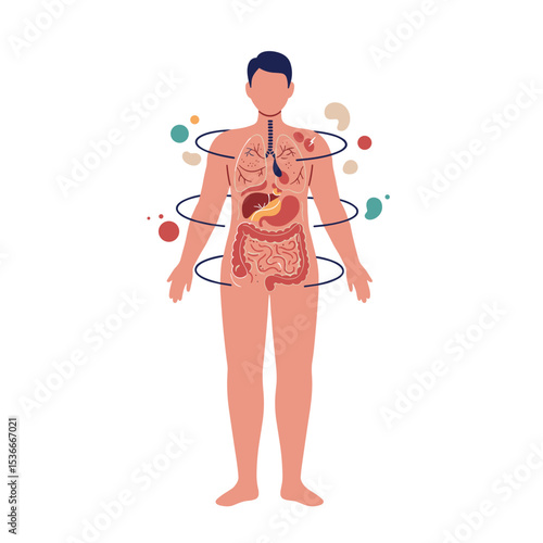 Male human body with internal organs illustration and abstract elements  