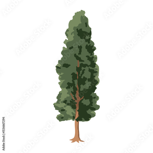 The pine tree is in a flat style. Plants in the forest. Vector illustration.