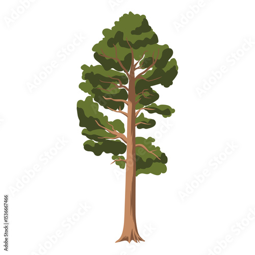 The pine tree is in a flat style. Plants in the forest. Vector illustration.
