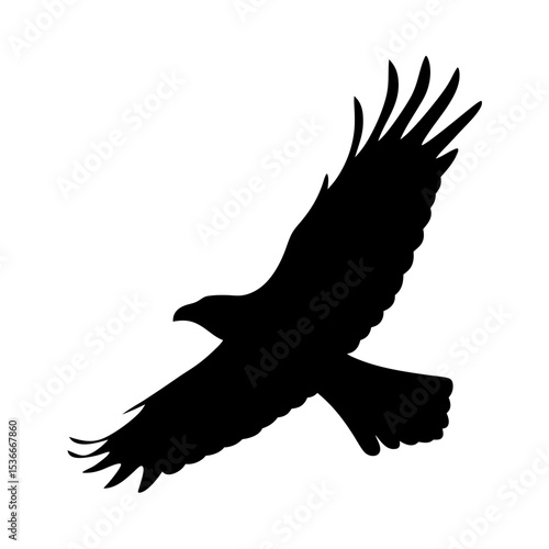 Majestic bald eagle soars with wings spread in a stunning silhouette image