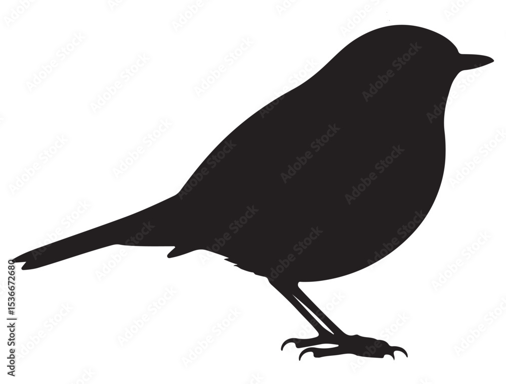 Obraz premium ROBIN BIRD SILHOUETTE