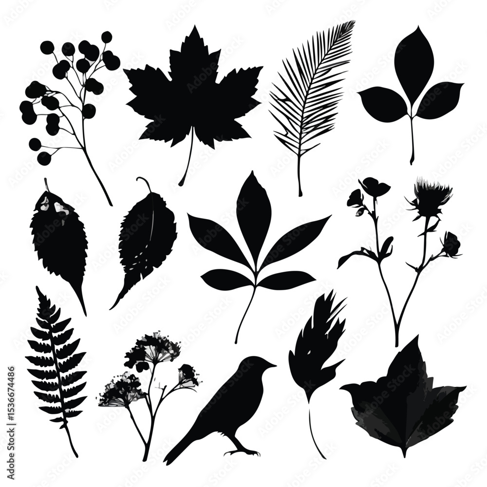 Obraz premium autumn leaf silhouette set, Black & White silhouette set